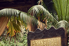 Frangipani Spa Sign